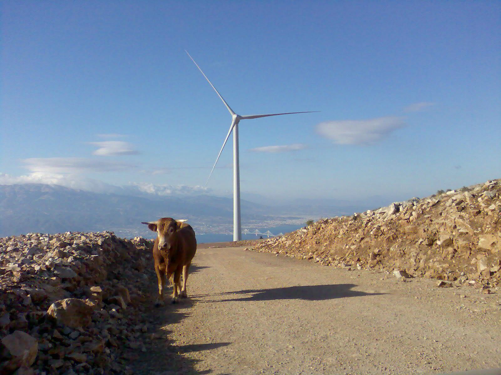 Wind turbine beside mountain road
